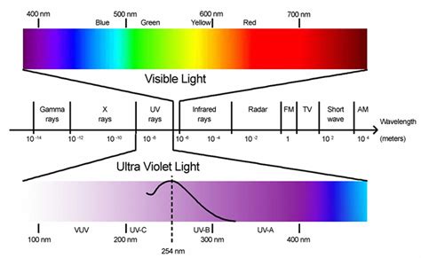 Ultraviolet Radiation