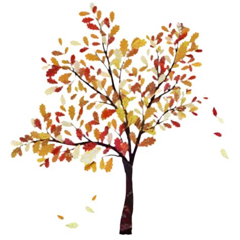 Fall Tree Vector Graphics Oak Clip Art Png Download 650650 Free