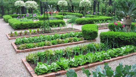 How To Plant Vegetable Garden Layout