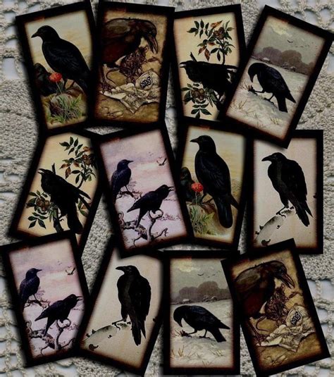 Raven Prints Crows Ravens Crow Tattoos With Meaning