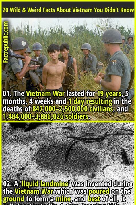 Vietnam History Ww2 History Vietnam War History Facts Survival Life