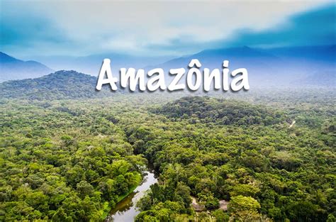 Qual é A Real Importância Da Amazônia Para O Mundo