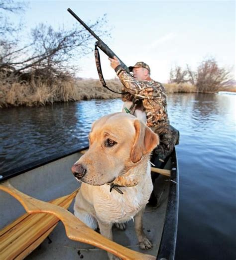 Five Simple Duck Hunting Tips Duck Hunting Waterfowl Hunting Gear