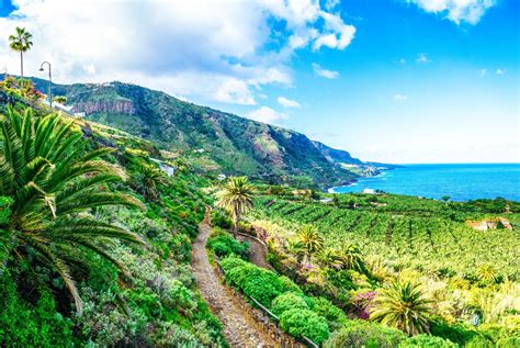 British, nordic and german tourists come in their tens of thousands every year to visit its spectacular beaches and lively nightlife. Rent Bungalows in Tenerife North - Holidays in the Bungalow