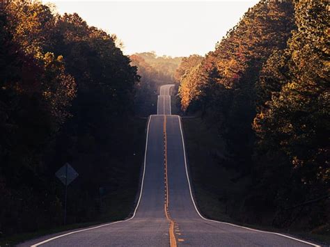 What The Road To Success Actually Looks Like In Reality Lifehack
