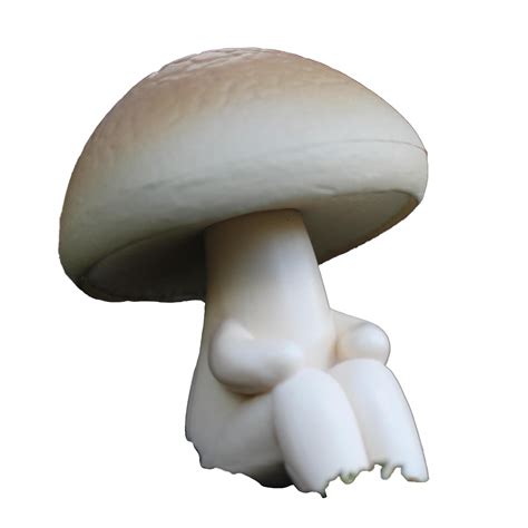 White Mushroom Sitting Alone Psd File With Mask In The Comments R Cutouts