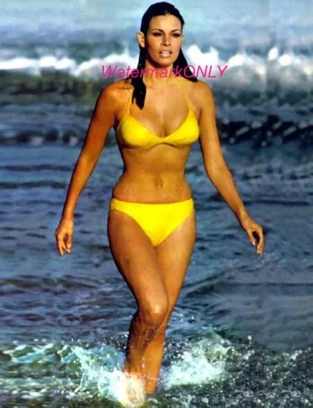Gorgeous Actress Sex Symbol Raquel Welch Super Hot Pin Up Photo The
