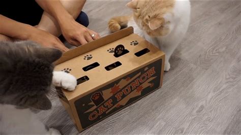 Diy Cat Toy Whack A Mole Youtube