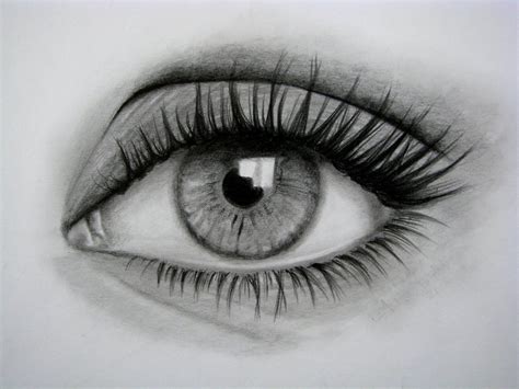 Cómo Dibujar Un Ojo Realista Y PestaÑas Paso A Paso Ojos Dibujados A Lapiz Ojos A Lapiz