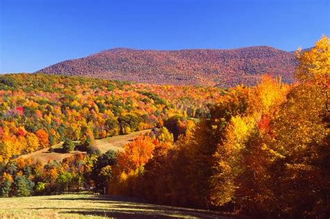 When Will Foliage Peak In Massachusetts These Maps Offer Clues