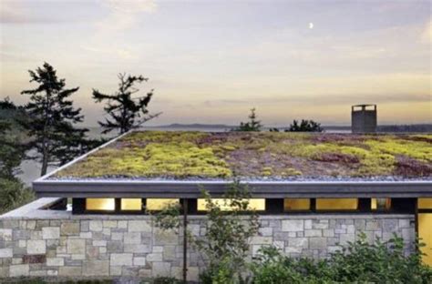 Modern Eco Homes With Green Roof Designs And Rooftop Gardens