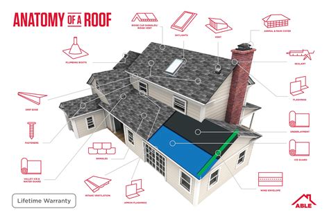 understand your roof better educate yourself with our info graphic roofing roofanatomy