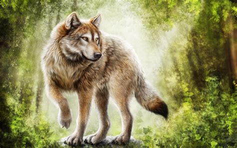 Here you can download free fantasy wolf high resolution desktop background for widescreen, photos in hd widescreen high quality resolutions for free. Wolf Wallpapers (79+ background pictures)