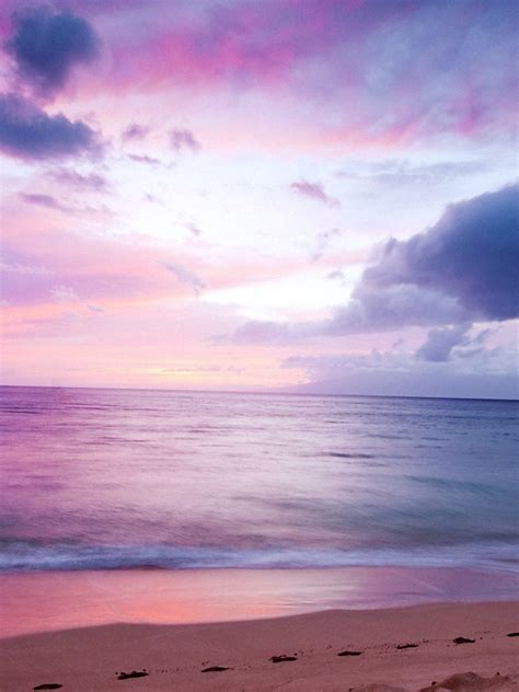 Free Download Beach Sea Purple Landscape Wallpapers Hd 1920x1200 For