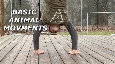 Fun Animal Movement Exercises To Get You Started Youtube
