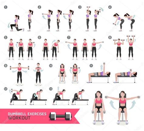 In addition to these exercises, you can also try incorporating yoga and tai chi into your weekly exercise routine. Frauen-Kurzhanteltraining Fitness und Übungen. Vektor ...