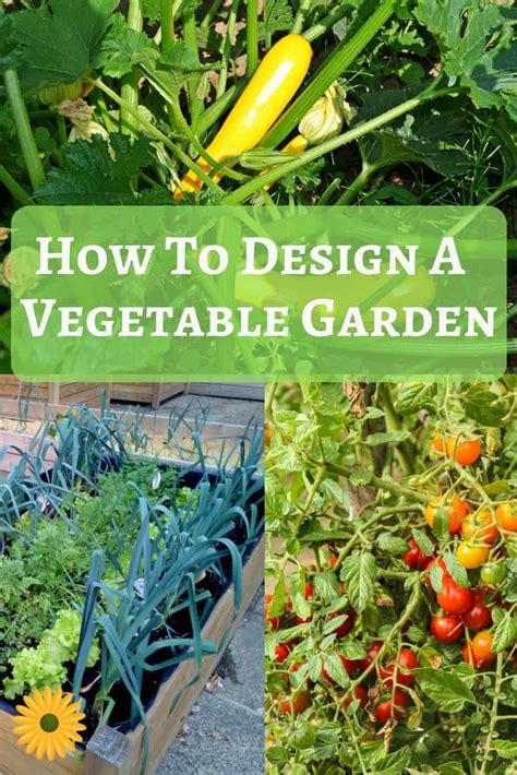 Wherever you are planning to start growing your vegetable for those with an outdoor vegetable garden, it is important to keep the watering routine, clean undesirable. Backyard Vegetable Garden Design