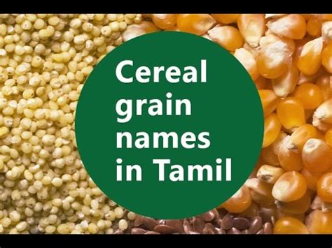 We have over 50 000 words with translation and automatic spell correction. Basic Level - Part 3 - Cereal grain Names - YouTube