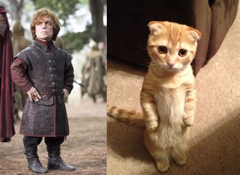 10 Game Of Thrones Characters And Their Cat Look A Likes