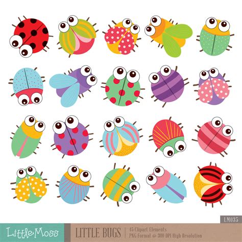 Colorful Insect Clipart 20 Free Cliparts Download Images On