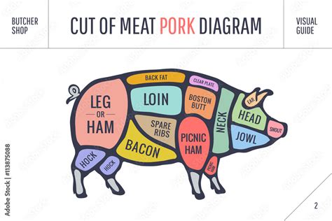 Cut Of Meat Set Poster Butcher Diagram Scheme And Guide Pork Colorful Vintage Typographic