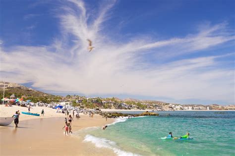 Which Beaches Are Swimmable In Cabo San Lucas Cabo Adventures