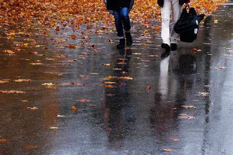 Novemberregen Foto And Bild Regen Herbst Laub Bilder Auf Fotocommunity