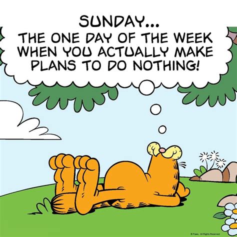 Sunday My Kind Of Day Garfield Quotes Garfield Cartoon Garfield