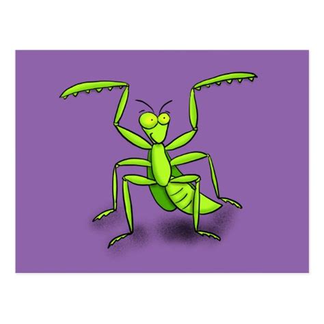 Funny Praying Mantis Cartoon Postcard