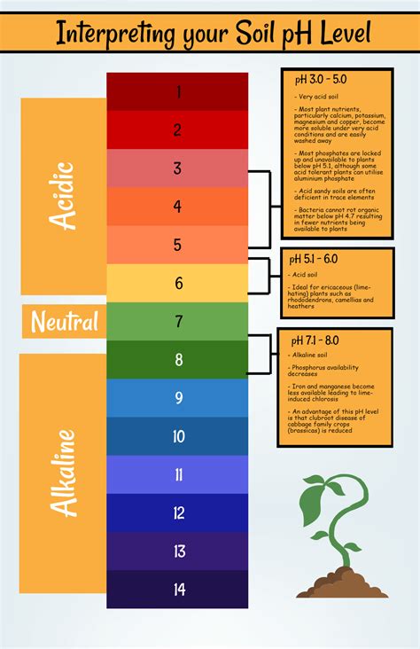 Soil Ph Chart For Plants