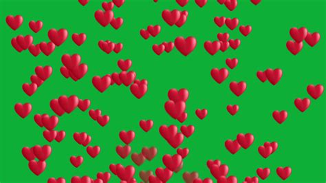 Beautiful Hearts Animation In Green Screen Video Hearts Flying Video
