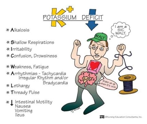 How To Recognize The Signs And Symptoms Of Low Potassium Hypokalemia
