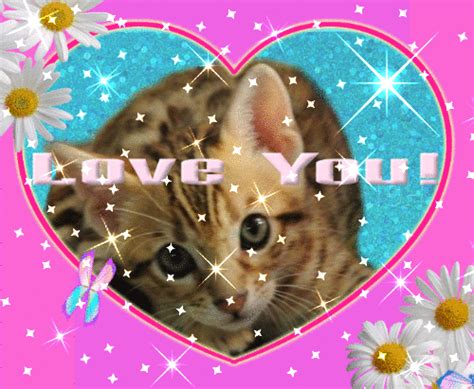 Kostenlose malvorlage malen nach zahlen: Cute I Love You Gifs With Hearts and Animals | Random Girly Graphics