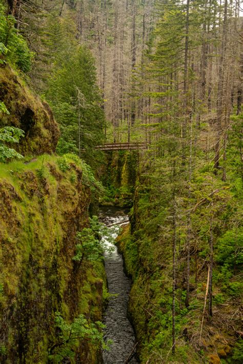 Eagle Creek Hike Oregon