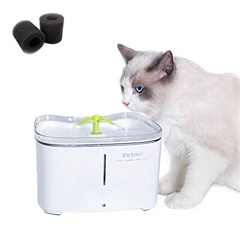 Top 30 Best Dog Water Fountains Reviewed In 2023 Petstruggles