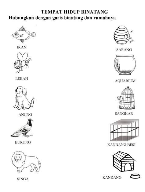 Download now semua yang terbaik tentang mewarnai gambar anak tk tema diri sendiri. I'm happy now in PAUD: LKS LEMBAR KERJA SISWA TEMA BINATANG - Animal Theme Worksheet