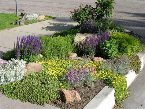 Sidewalk Landscaping Texas Landscaping Xeriscape Landscaping