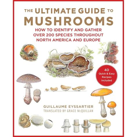 The Ultimate Guide To Mushrooms How To Identify And Gather Over 200