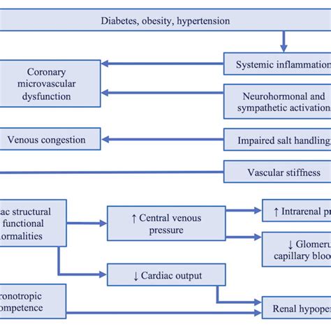 Summary Of Pathophysiological Processes Linking Heart Failure With