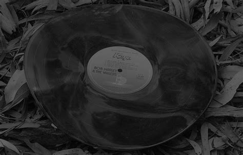 Fix Warped Records With A Vinyl Flattener Wax Timeswax Times