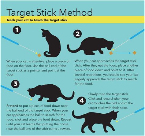 Buy Cat School Clicker Training Kit For Cats 1 Cat Training Clicker