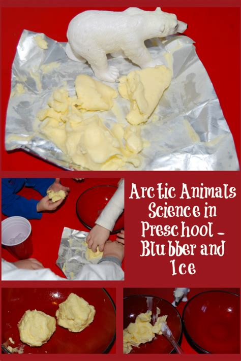 The best animal habitat activities for preschoolers and kindergarten, stem for preschoolers, building animal habitats with preschoolers through awesome ladybug life cycle activities and free printables for kids, natural learning, science, hands on learning, preschool alphabet activities. Ocean Theme Activities Archives • The Preschool Toolbox Blog