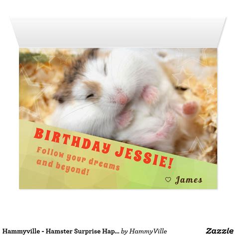 Hammyville Hamster Surprise Happy Birthday Card Happy