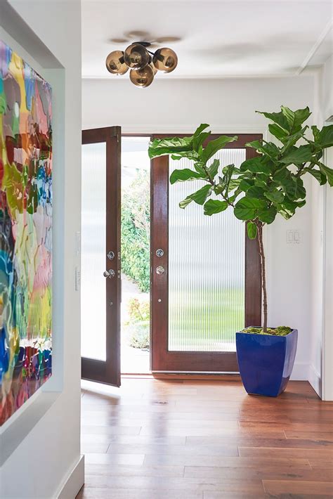 Modern Yet Cozy Entryway With A Tall Indoor Plant By The Entrance Tall