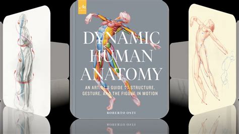 Shorts Dynamic Human Anatomy Book By Roberto Osti 2021 Video