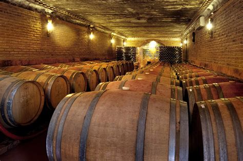 Wine Cellar Cliff Richards Vineyard License Image 71056754