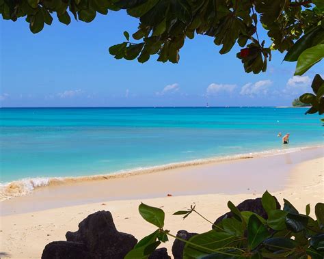 the 10 best barbados beaches updated 2023 tripadvisor