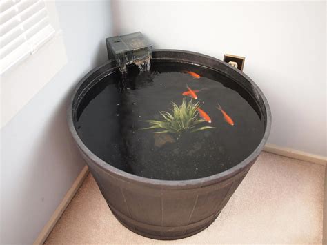 Indoor Goldfish Container Pond Container Fish Pond Container Pond