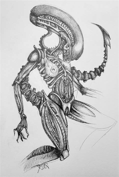 Female Xenomorph Alien Queen Horror Movie 9x12 Print Etsy