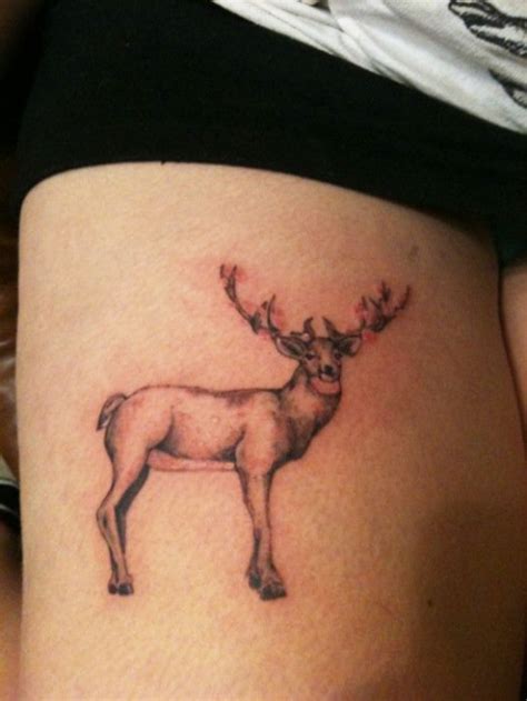 33 Awesome Deer Tattoo Designs Sheplanet